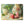 Fruits Cutting Board – Tempered Glass Kitchen Table - Dipaliz - Boards