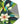 Floral Area Rugs – Leaf Designs Chenille - Dipaliz