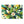 Floral Area Rugs – Leaf Designs Chenille - Dipaliz