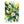 Floral Area Rugs – Leaf Designs Chenille - Dipaliz