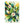 Floral Area Rugs – Leaf Designs Chenille - Dipaliz