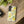 Lemon Lavender Floral Tough Phone Case, Protective Botanical Iphone/android Cover - Mobile Cases