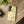 Lemon Pattern Tough Phone Case - Bright Citrus Protective Cover - Mobile Cases