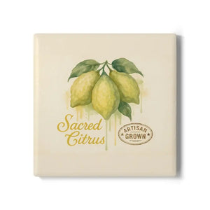 Premium Ceramic Coaster Set - Chic Home Decor Style - Dipaliz - Square / one Size - Coasters