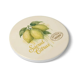 Premium Ceramic Coaster Set - Chic Home Decor Style - Dipaliz - Round / one Size - Coasters