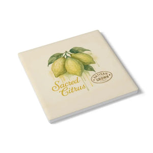 Premium Ceramic Coaster Set - Chic Home Decor Style - Dipaliz - Coasters