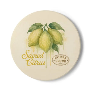 Premium Ceramic Coaster Set - Chic Home Decor Style - Dipaliz - Coasters