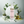 Radiant Daily Moisturizer - Lilac and Green Tea - Dipaliz - Lotions & Moisturizers