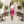 Magenta Mid-waist Pencil Skirt, Stretchy Slim-fit Women’s Mini - Skirts - Xs
