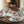 Magnolia Cloth Napkins – Floral Elegance Set of 4 - Dipaliz