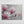 Magnolia Flowers Painting – Canvas Art Print - Dipaliz - Prints