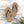 Unisex Flip Flops - Starfish Beach Style - Dipaliz - Slippers