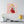 Vibrant Matte Canvas - Floral Heart Radial Pine - Dipaliz - Posters Prints & Visual Artwork