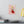 Vibrant Matte Canvas - Floral Heart Radial Pine - Dipaliz - Posters Prints & Visual Artwork