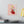 Vibrant Matte Canvas - Floral Heart Radial Pine - Dipaliz - Posters Prints & Visual Artwork