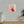 Vibrant Matte Canvas - Floral Heart Radial Pine - Dipaliz - Posters Prints & Visual Artwork