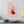 Vibrant Matte Canvas - Floral Heart Radial Pine - Dipaliz - Posters Prints & Visual Artwork