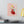 Vibrant Matte Canvas - Floral Heart Radial Pine - Dipaliz - Posters Prints & Visual Artwork