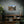 Custom Matte Canvas - Renewable Forests Pine - Dipaliz - Posters Prints & Visual Artwork