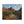 Custom Matte Canvas - Renewable Forests Pine - Dipaliz - Posters Prints & Visual Artwork