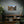 Custom Matte Canvas - Renewable Forests Pine - Dipaliz - Posters Prints & Visual Artwork