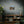 Custom Matte Canvas - Renewable Forests Pine - Dipaliz - Posters Prints & Visual Artwork