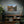 Custom Matte Canvas - Renewable Forests Pine - Dipaliz - Posters Prints & Visual Artwork