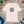 Soft Unisex Jersey Short Sleeve Tee - Serenity Awaits - Dipaliz - T-shirts