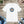 Soft Unisex Jersey Short Sleeve Tee - Serenity Awaits - Dipaliz - T-shirts