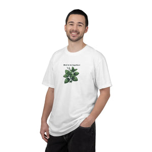 Mint Carrot Garment-dyed T-shirt - Comfort Colors Relaxed - Dipaliz - T-shirts