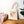 Misfit Organic Cotton Tote - Whimsical Veggie Design - Dipaliz - Shopping Totes