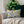 Yellow Lumbar Pillow – Spun Polyester 12x20 - Dipaliz - Back & Support Cushions