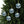 Winter Pine Trees Acrylic Ornaments - Holiday Decor - Dipaliz