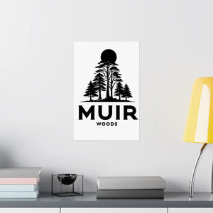Muir Woods Satin Poster – Home Office Decoration - Dipaliz - Posters Prints & Visual Artwork