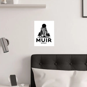 Muir Woods Satin Poster – Home Office Decoration - Dipaliz - Posters Prints & Visual Artwork