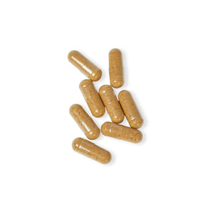 Focus Mushroom Blend Supplement - Gmp-certified Facilities - Dipaliz - Herbal Supplements
