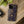 Mystic Celestial Tough Phone Case - Gold Symbols - Dipaliz - Mobile Cases