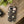 Mystic Night Floral Phone Case, Moon Moths & Mushroom Pattern Tough - Mobile Cases