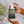 Tropical Citrus Burst Body Wash - Energizing - Dipaliz