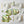 Eco Table Decor – Vibrant Butterfly Design - Dipaliz - Cloth Napkins