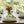 Eco Table Decor – Vibrant Butterfly Design - Dipaliz - Cloth Napkins