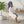 Sailboat Beach Towel – Cotton Mink Soft - Dipaliz - Towels
