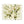 Watercolor Olive Branch Placemat – Cotton Twill - Dipaliz - Placemats