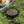 Paisley Wham-o Frisbee - Ultimate Outdoor Fun - Dipaliz - Sporting Goods