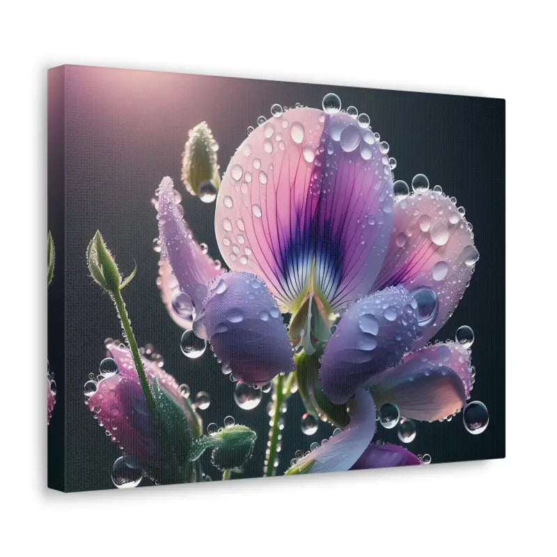 Vibrant Pansy Canvas Gallery Wraps: Transform your Space