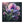 Vibrant Pansy Canvas – Artist-grade Cotton - Dipaliz - Prints