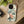 Pastel Flowers Stylish Protective Phone Cases - Dipaliz - Mobile