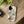 Pastel Flowers Stylish Protective Phone Cases - Dipaliz - Mobile