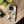 Pastel Flowers Stylish Protective Phone Cases - Dipaliz - Mobile