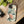Pastel Flowers Stylish Protective Phone Cases - Dipaliz - Mobile